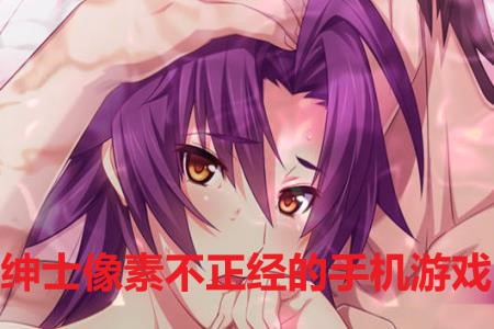 绅士像素不正经的手机游戏